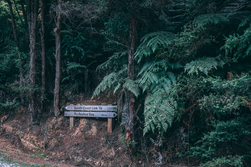 near, daylight, mountain, tree trunk, beauty in nature, nature, landscape, green, rainforest, 2K, sign, bench, daytime, woods, plant, signage, seat, environment