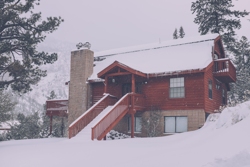 house, trees, surrounded, covered, cabin, winter, plant, green, nature, wooden, gray, day, leaf, building exterior, coniferous tree, architectural, outdoors