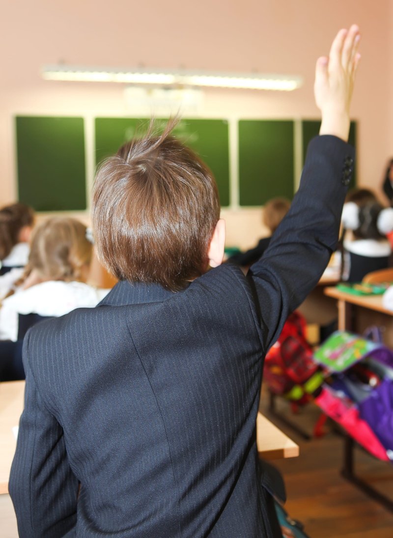 elementary, women, hand, pupil, adult, grade, business, gesture, hair, handsign, female, occupation, good, focus on foreground, little, learning, arms raised