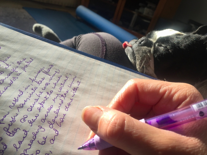 pen, working from home, domestic, pet, body part, writing fiction, 2K, handwriting, holding, human hand, feline, domestic animals, homework, companion
