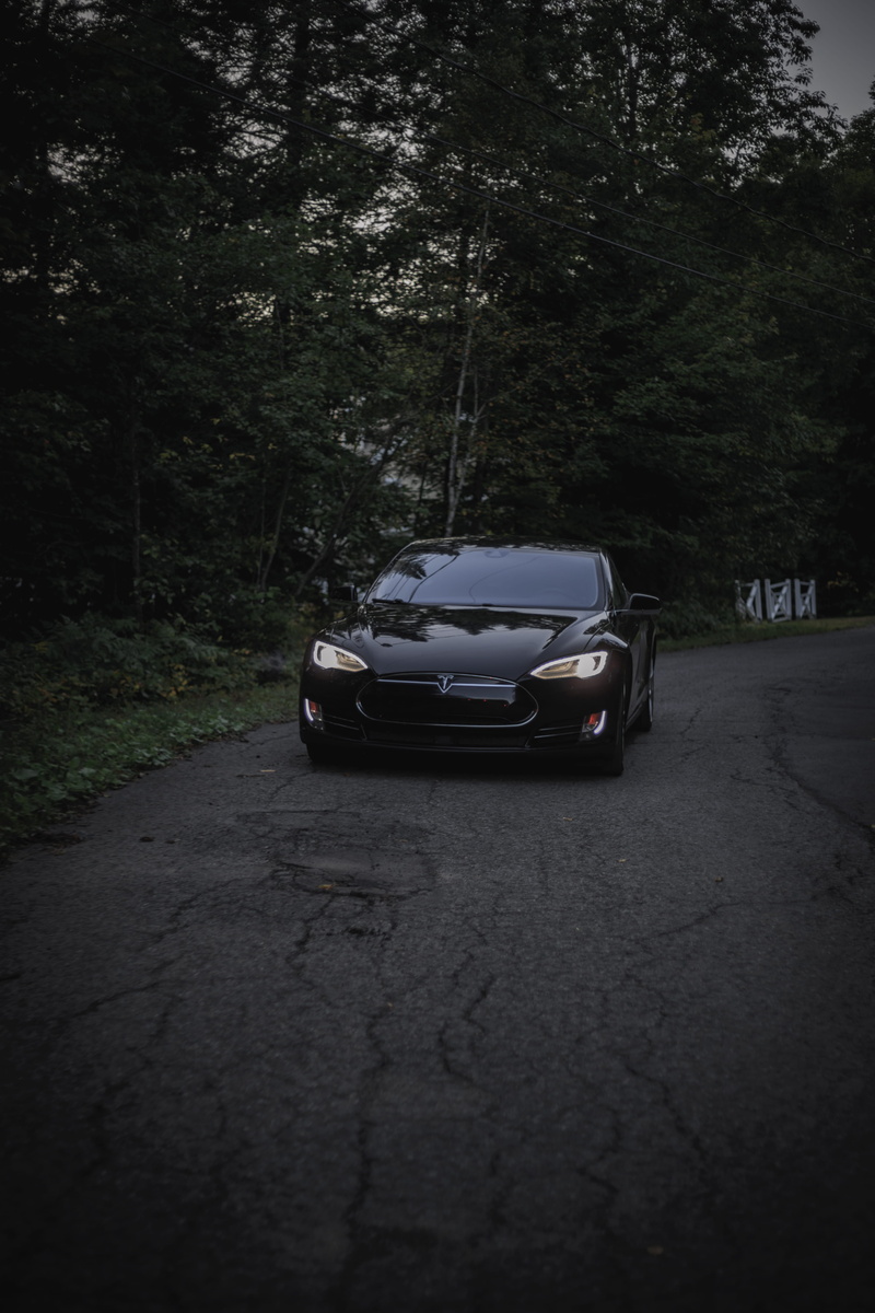 black, street, travel, plant, forest, road, nighttime, transportation, car, tree, tesla, s, no people, motor vehicle, land, mode of transportation, nature