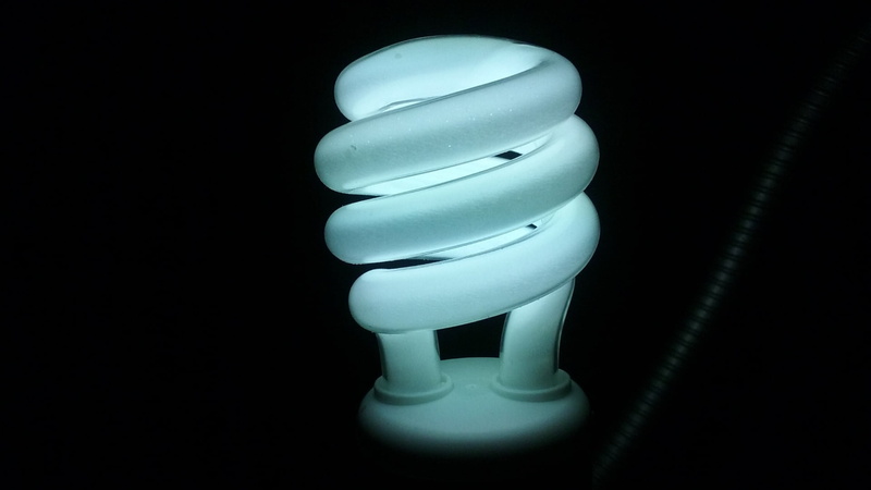 environmental conservation, still life, indoors, white color, energy efficient lightbulb, energy efficient, single object, studio shot, electrical equipment