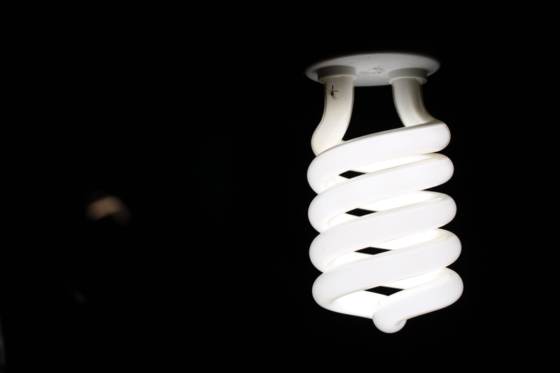 copy space, cut out, bulb, spiral, environmental conservation, lightbulb, lighting equipment, white color, energy efficient, studio shot, electric light