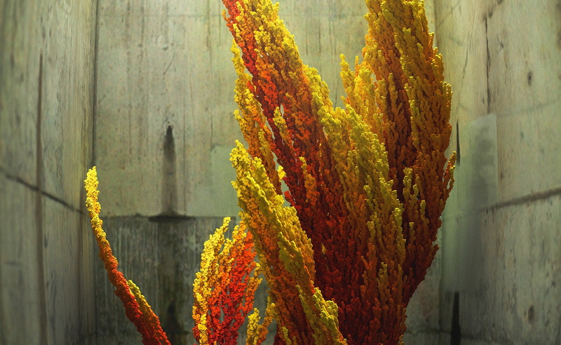 focus on foreground, built structure, change, autumn, yellow, barrier, close-up, corner fire, 2K, nature, fire, 3d corner fire, leafed, day, beauty in nature