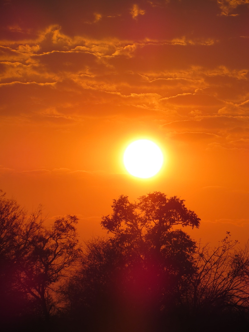 circle, zimbabwe, sun, cloud - sky, lake kariba, eclipse, tranquility, plant, sunset, orange color, tree, beauty in nature, 4K, kariba, no people, tranquil scene