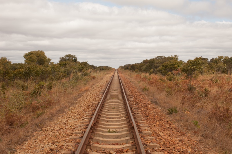 the way forward, nature, park, rail, outdoors, transportation, endless, plant, rail transportation, tree, growth, vanishing point, national, livingstone