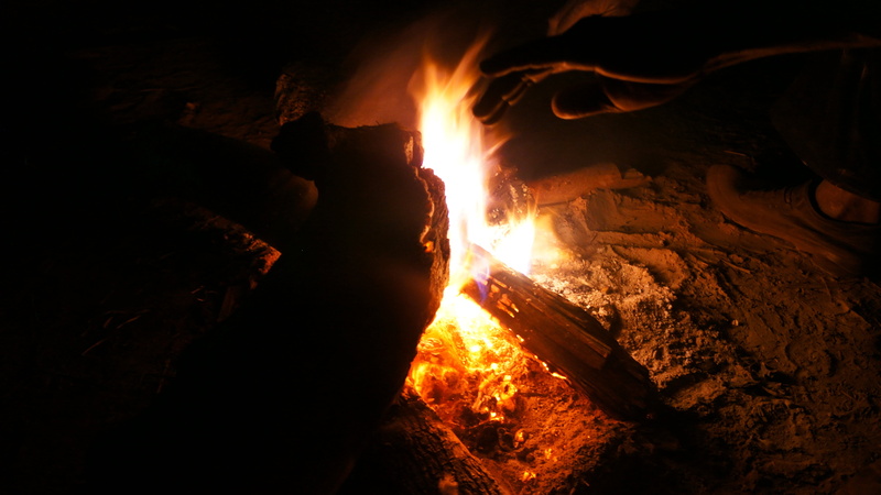 glowing, bush, log, campfire, firewood, bonfire, motion, trip, forest, heat - temperature, high angle view, 4K, flame, dark, night, heat, wood, nature