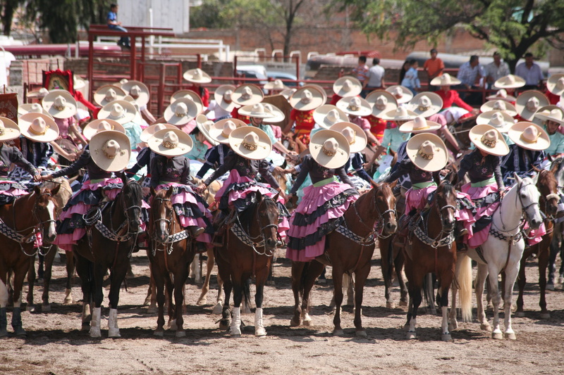 large group of people, pets, uniform, livestock, skirmish, domestic animals, performance, charros, mammal, real people, crowd, group of people, clothing