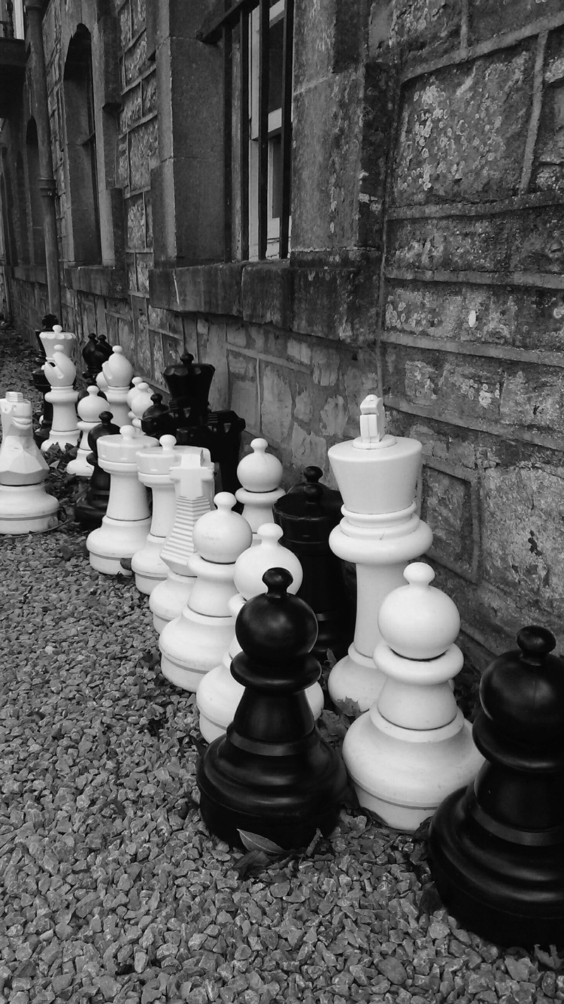 2K, chess, skirmish, outdoors, day, people, game, chess piece, knight, strategy, white color, leisure games, art and craft, board game, no people, large group of objects