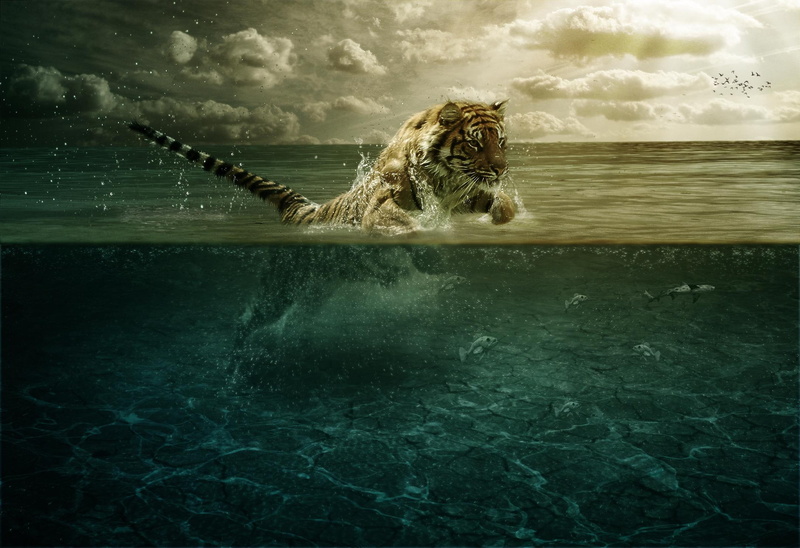 water, 1080P, tiger, 3d and abstract, fish, leap, predator