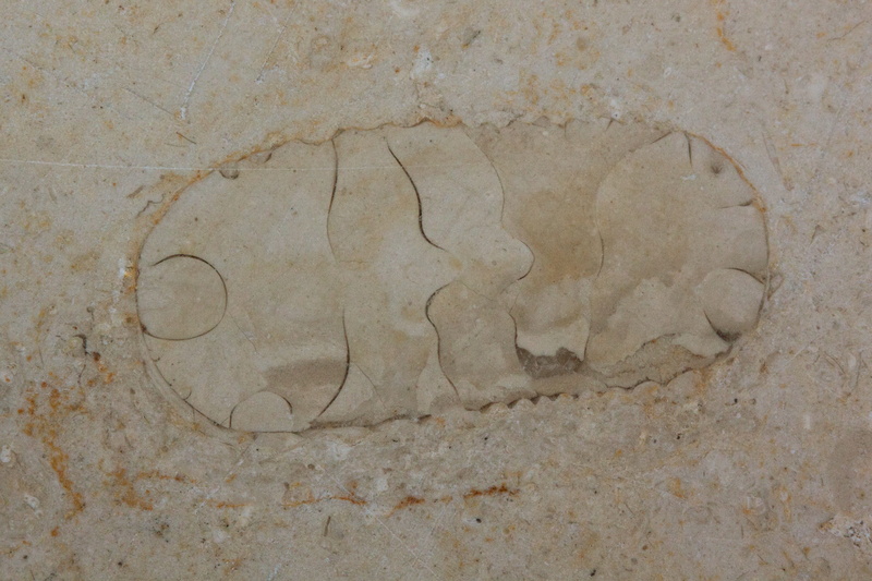 design, polished surface, limestone, quarry, sea, solnhofen limestone slabs, cracked, outdoors, wall - building feature, background, Beast, old, concrete