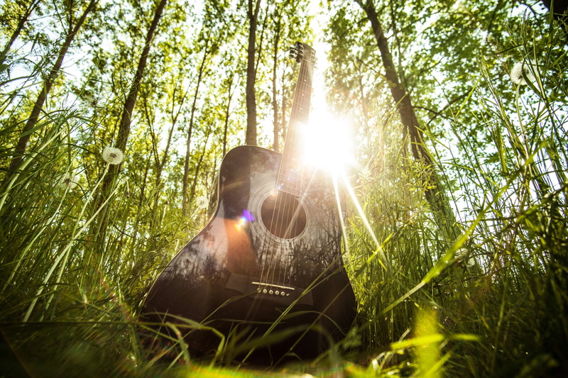 string instrument, forest, grass, guitar, trees, 4K, black, ray of sunshine, sunlight, music, ibanez
