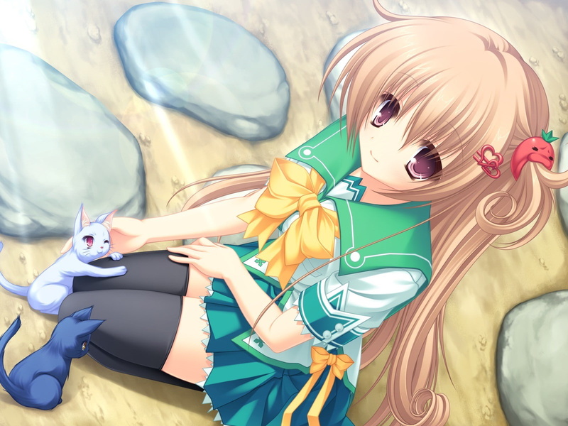 misaki, visual, neko, 720P, ryuudou, koi, anime, novel, ryuudou misaki, visual novel, neko koi, girls, anime girls