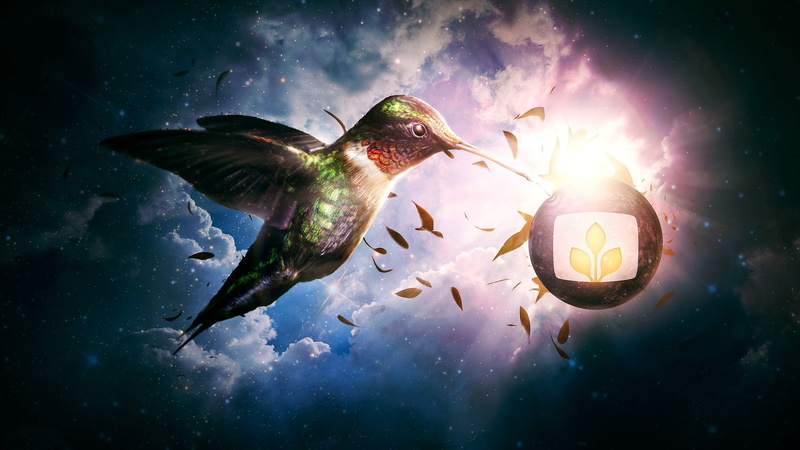 Creative, 2K, Petals, Birds, Design, Sky, Clouds, Desktopography