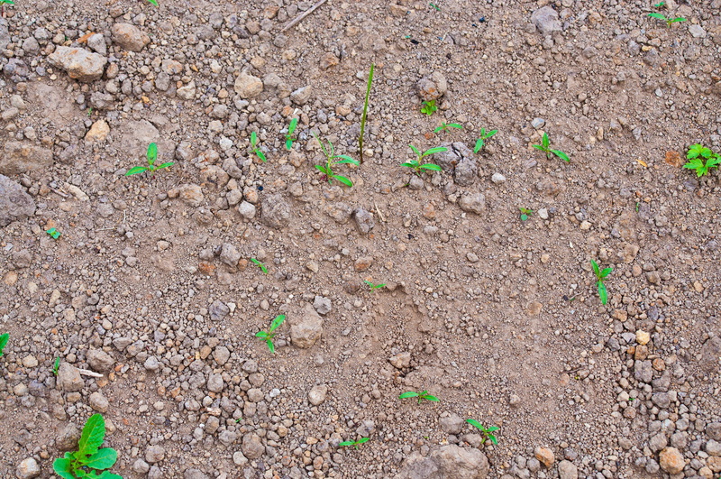 mud, dirt, earth, fresh, agriculture, pattern, backgrounds, environment, nature, day, new, no people, surface, stones, full frame, 4K, field, steinchen
