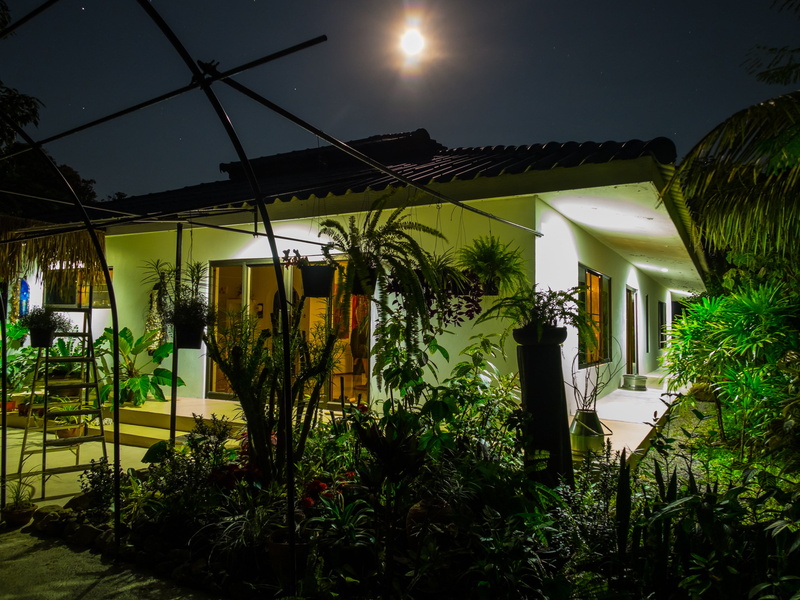 garden, home, full moon night, building exterior, white, residential district, nature, sky, 2K, electric lamp, atmosphere, tree, front or back yard, architecture