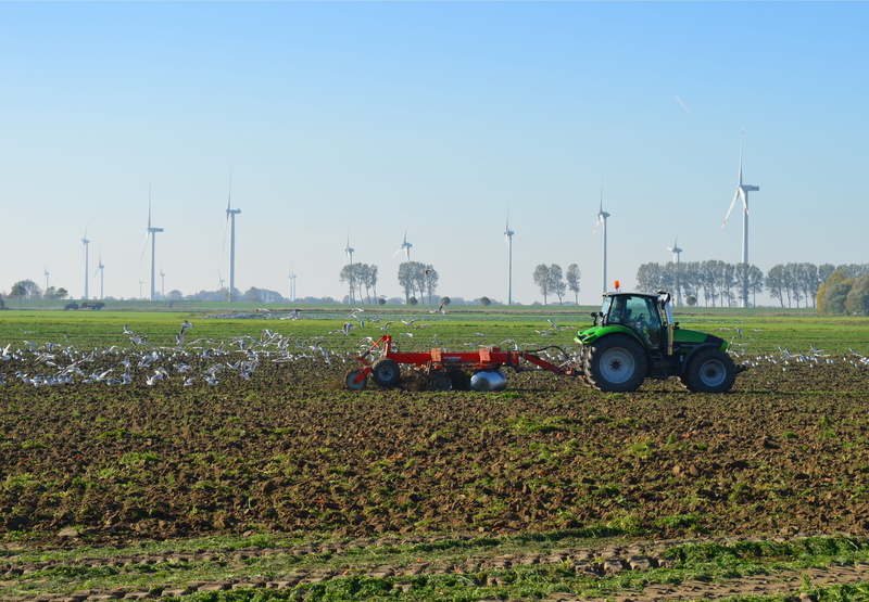 windmills, land, 4K, environment, plantation, no people, day, gulls, mode of transportation, field, transportation, land vehicle, rural scene, tractors