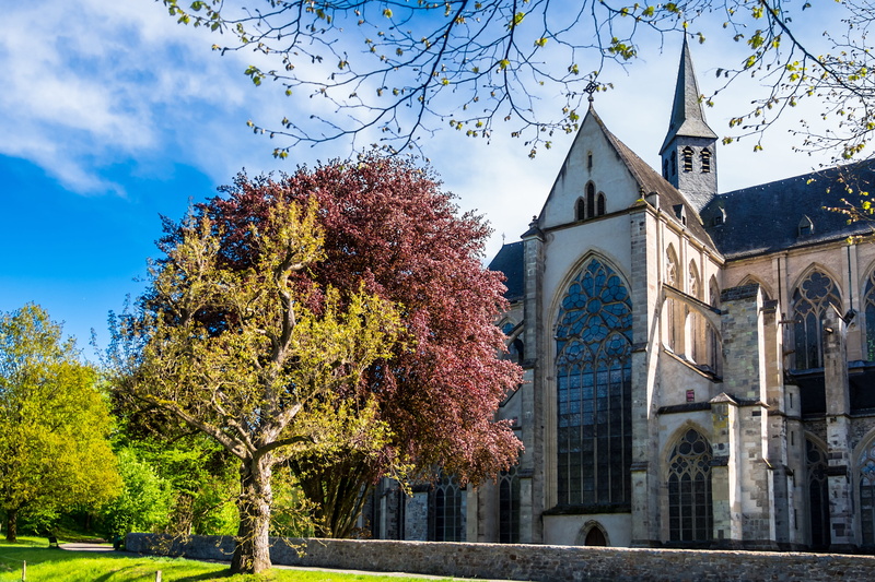 christianity, 4K, belief, crown, low angle view, germany, religion, copper beech, no people, middle ages, built structure, change, places of interest
