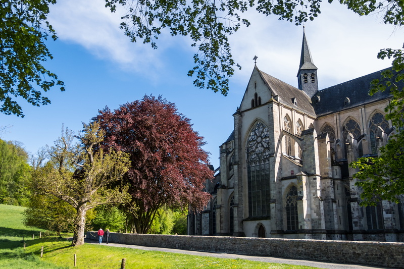 altenberger dom, tower, purple beech, incidental people, cloud - sky, crown, sky, tree, architecture, outdoors, germany, church, building exterior, copper beech