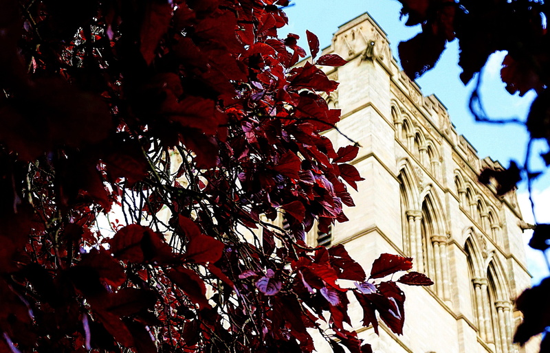 day, no people, outdoors, leaf, beauty in nature, red, tree, cathedral, nature, autumn, building exterior, focus on foreground, plant part, christian, branch