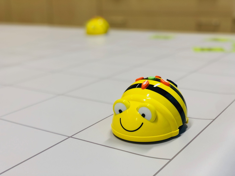 children, robot, computer science, science, high angle view, headwear, 4K, teach, coding, creative, process, representation, electronic, animal, animal representation
