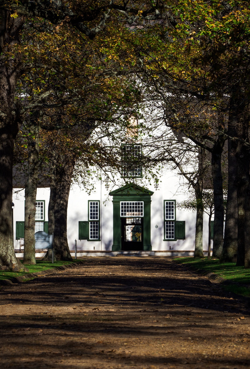 historic, plant, wine estate, trunk, travel destinations, fall, the way forward, cape dutch homestead, forest, sunlight, footpath, grass, sky, building exterior