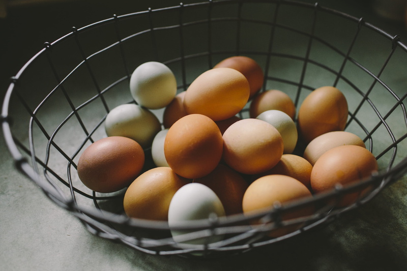 group of objects, bowl, wellbeing, basket, organic, homemade, large group of objects, abundance, container, healthy eating, farm fresh, farm, metal, animal egg