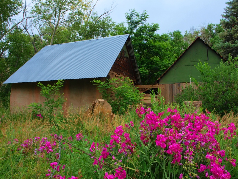 rural, amazing, colorful, built structure, pink, blossom, nature, beauty, fuel and power generation, structure, tree, homestead, countryside, residential