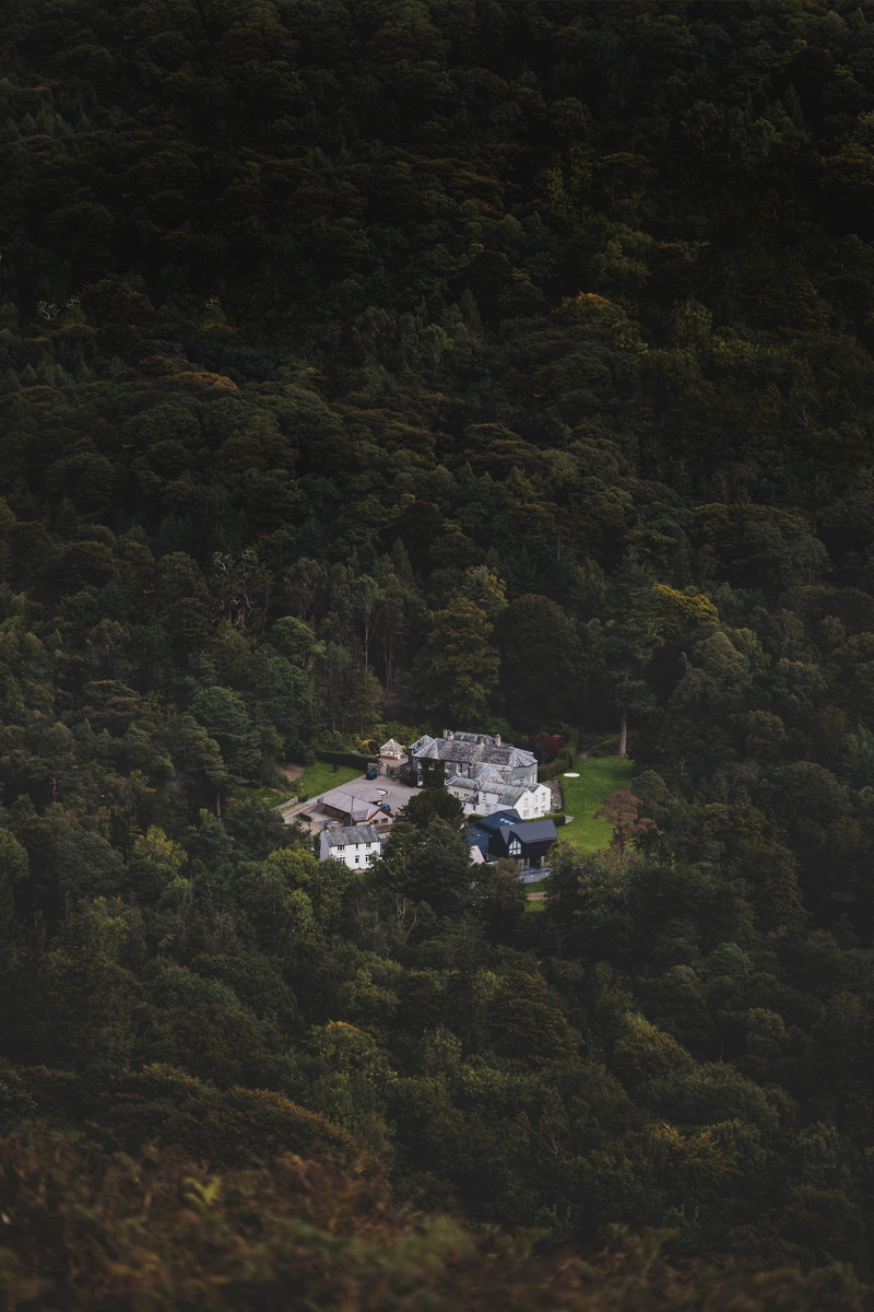 plant, scenics - nature, landscape, forest, no people, architecture, environment, house, view from above, 5K, nature, building, homestead, day, beauty in nature