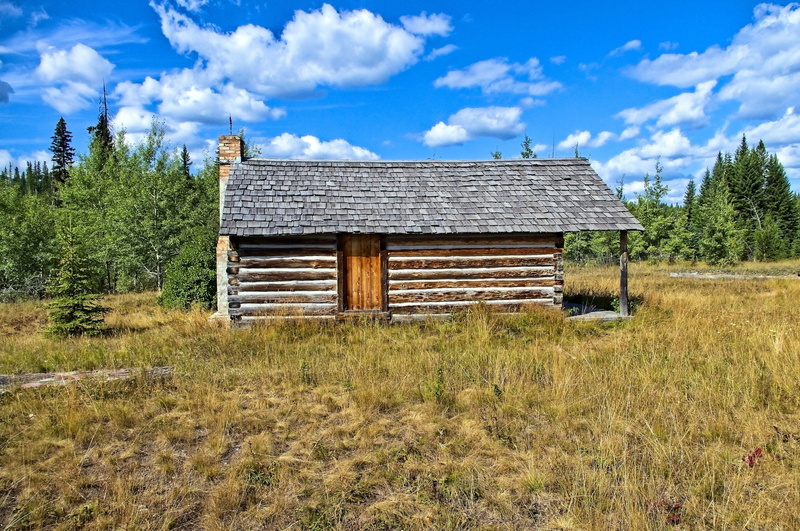 trees, mccarthy homestead cabin, clouds, tree, nature, building, landscape, growth, log, montana, plant, day, outdoors, tranquility, country, cabin, building exterior