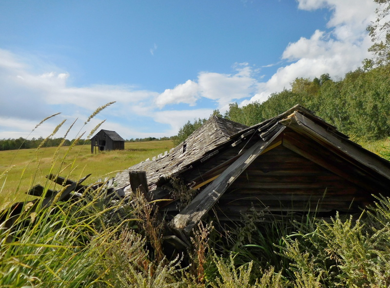 outdoors, ruined, summer, country, 4K, west, building exterior, no people, architecture, ranch, environment, cloud - sky, idaho, landscape, day, rustic