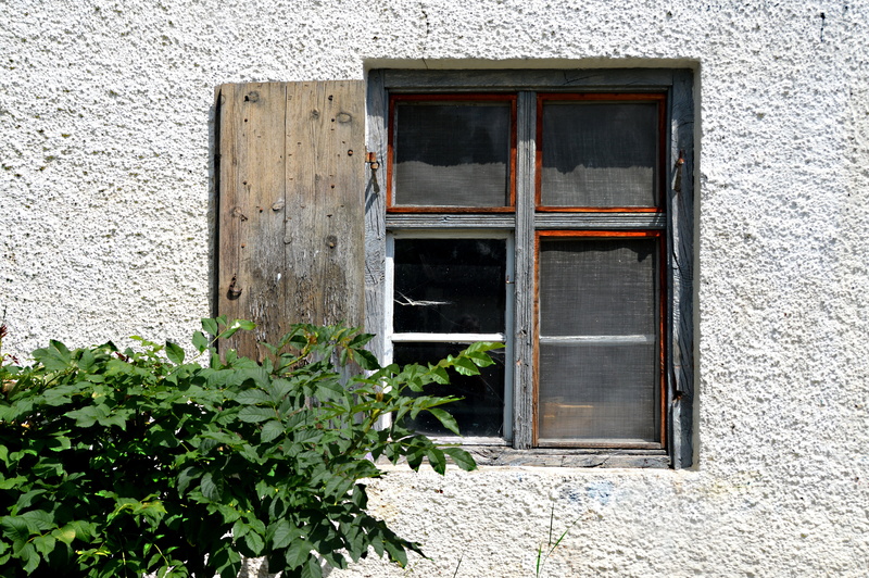 grey, material collection, growth, old, hof, glass - material, outdoors, building, abandoned, day, farmhouse, wall - building feature, loss, no people