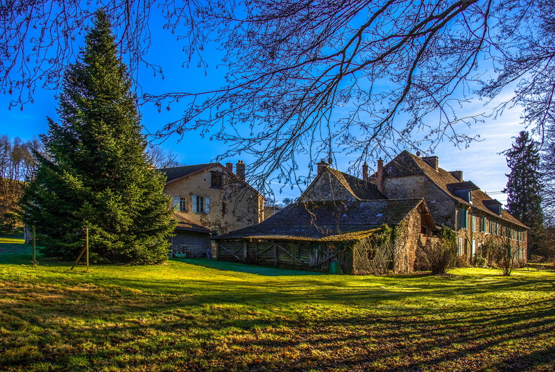tree, land, plant, building, outdoors, france, Garden, tranquility, architecture And Buildings, old, growth, sky, limousin, residential Building, cottage