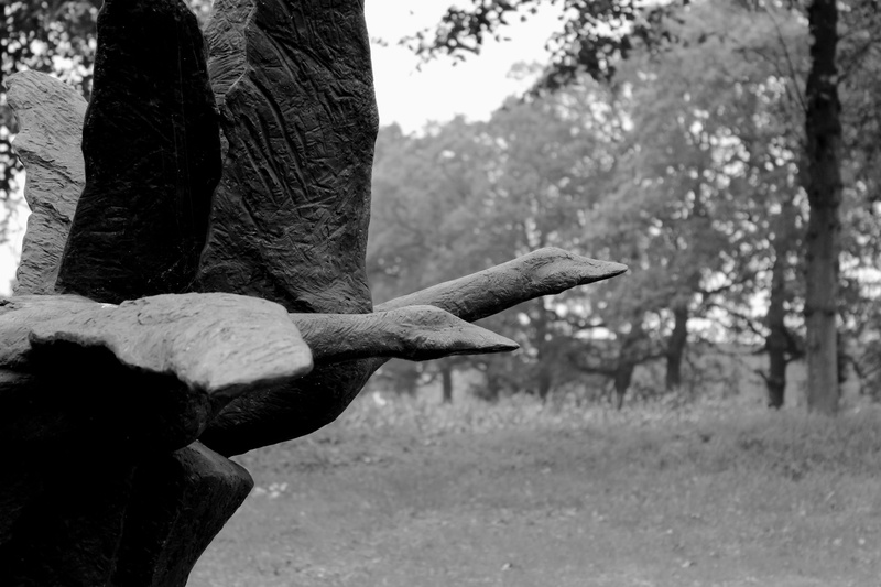 outdoors, plant, birds, vertebrate, side view, bill, art, 5K, trunk, craft, animal neck, animal wildlife, tree, focus on foreground, beak, worpswede, nature