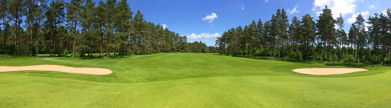 tree, golf, sand trap, day, trees, 8K, grass, no people, forest, surrounded, scenics - nature, sky, putting green, activity, tranquility, green color
