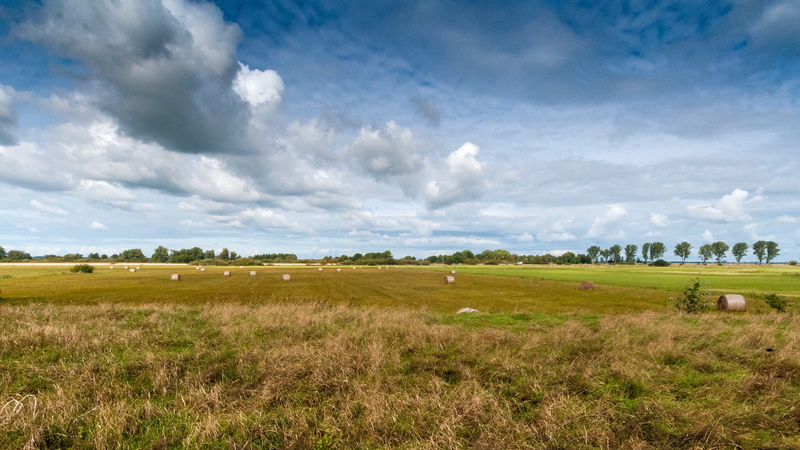 no people, bike ride, outdoors, land, cloud - sky, scenics - nature, bremen, moor, tree, northern germany, relaxation, nature, day, agriculture, plant