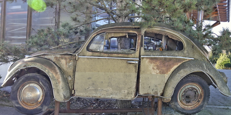 vw beetle, motor vehicle, no people, building exterior, rusted, deterioration, tree, volkswagen, outdoors, mode of transportation, day, retro styled, architecture
