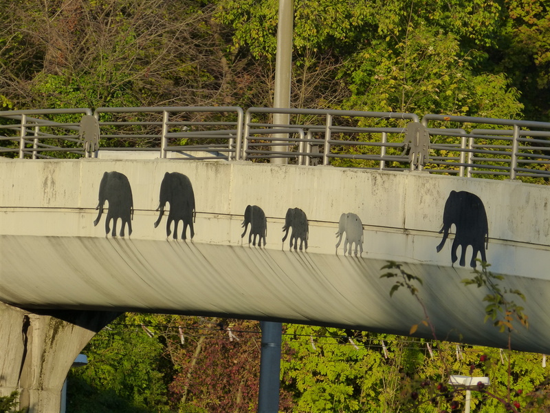 animal wildlife, drawing, livestock, bridge, domestic, animals, real people, barrier, group of people, animal themes, black, painting, elephant, outdoors