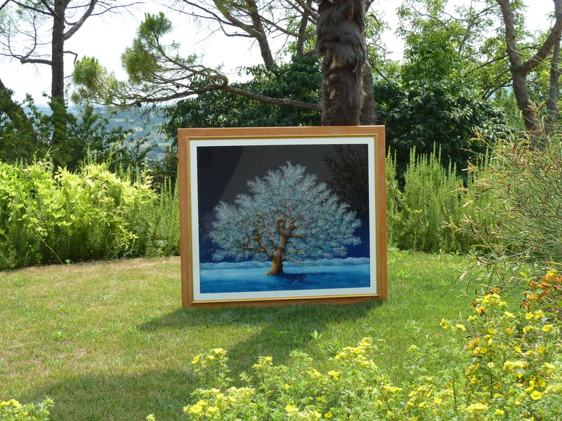 park - man made space, tranquil scene, front or back yard, green color, oak blue, no people, tree trunk, flowering plant, nature, carlo busellato, field