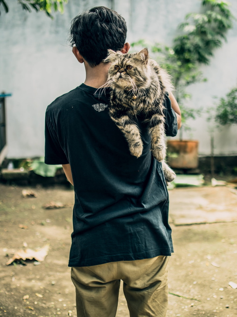 incresible, outdoors, indonesia, awesome, pet, cool, goal, front view, standing, human, gorgeous, domestic, friendship, cat, casual clothing, pet owner