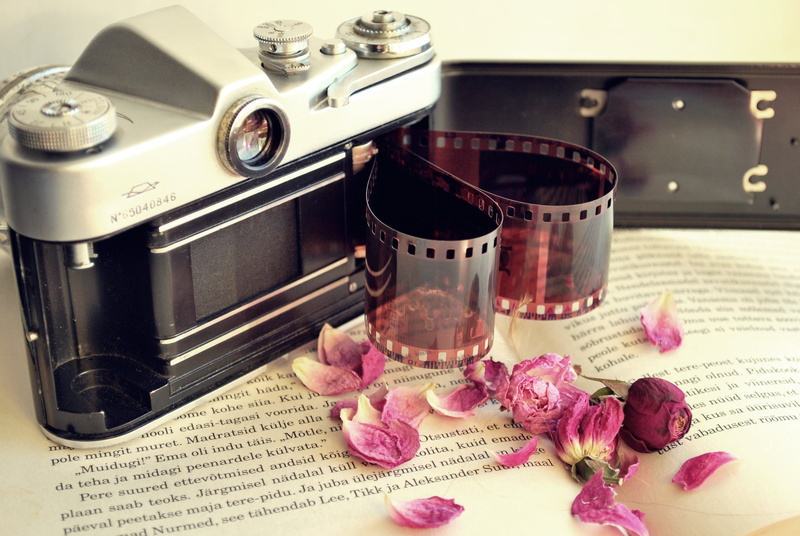 indoors, flowers, old, old-fashioned, black, healthcare and medicine, text, flowering plant, camera, books, focus on foreground, still life, 4K, retro Styled