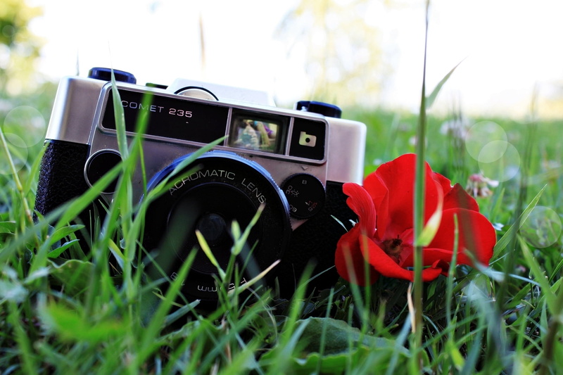 technology, day, old, black, land, growth, lens - Optical Instrument, old-fashioned, nature, background, outdoors, no People, flowering plant, poppy seeds