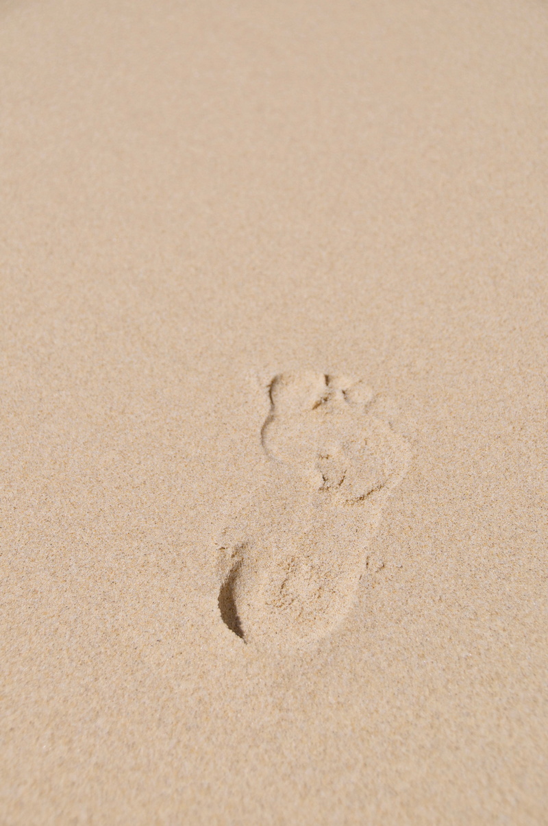 day, 4K, full frame, ocean, outdoor, nature, text, footstep, footstep in the sand, brown, absence, backgrounds, person, white board, single, footsteps