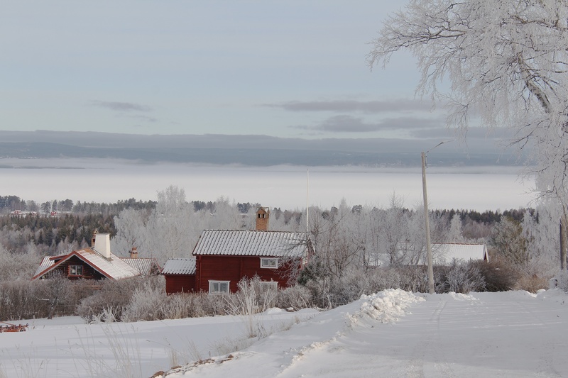cold temperature, house, nature, scenic, beautiful, sky, cold, land, field, scenics - nature, cottage, scandinavia, countryside, wood, beauty in nature