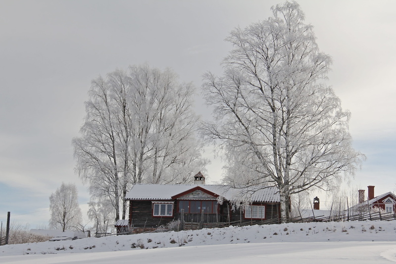 shore, White, snowing, building, snows, rural Scene, travel, Snow, europe, cold temperature, plant, nature, no People, landscape, exotic, red, covered