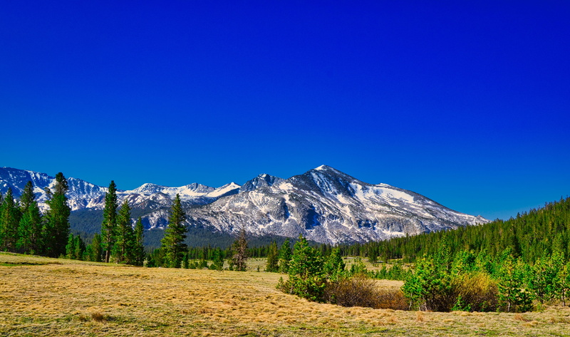 yosemite, tranquil scene, 4K, clear sky, snowcapped mountain, pine woodland, land, pine tree, cold temperature, outdoors, tourism, idyll, pasture, nature