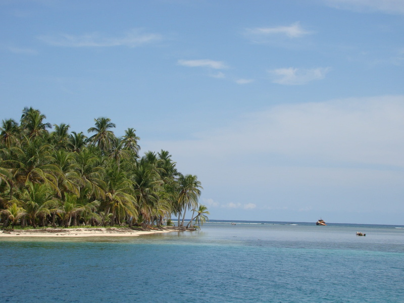 tranquil scene, kuna, coconut palm tree, Central America, tree, horizon over water, beauty in nature, beach, scenics, san blas, trees, landscape, sea, seashore