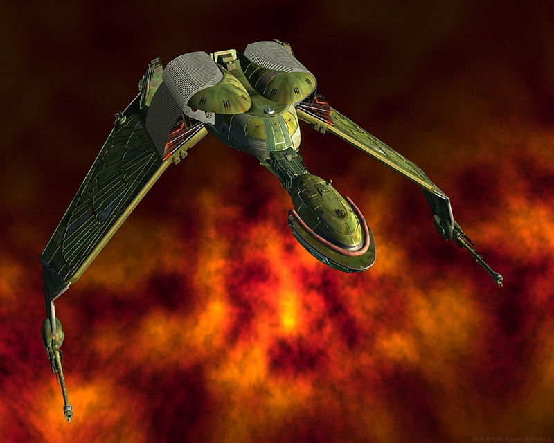 night, indoors, metal, food and drink, invertebrate, Klingon (Star Trek), futuristic, close-up, aggression, no people, colored background, studio shot