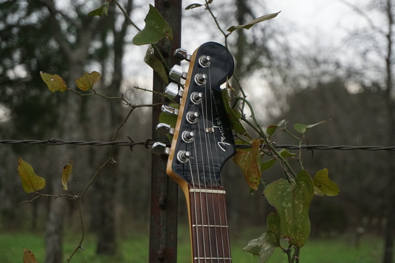 musician, plant part, guitar, instrument, boundary, play, 5K, barrier, growth, day, focus on foreground, rock, safety, electric guitar, strings, no people