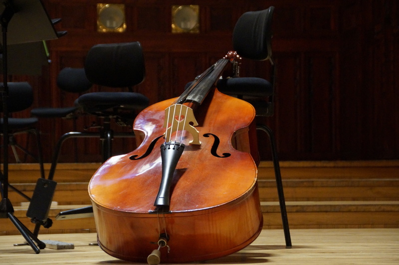 indoors, bow - musical equipment, flooring, violin, string instrument, wooden, orchestra, wood - material, concert, seat, performance, bass, musical equipment